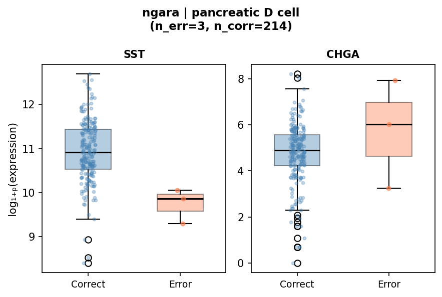 Identity marker expression in D cells