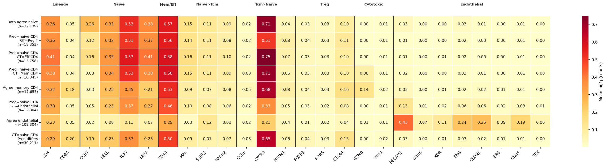 Marker heatmap: T cell subtypes